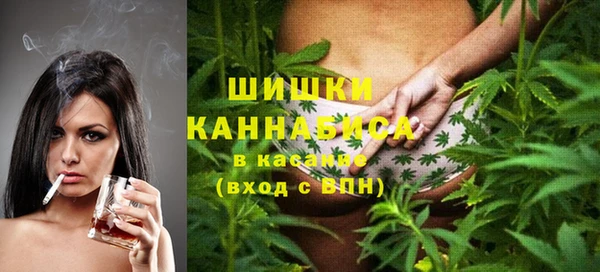 ешки Алексин