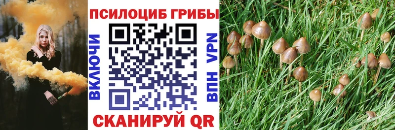 Купить закладки  Архангельск  Галлюциногенные грибы Magic Shrooms 
